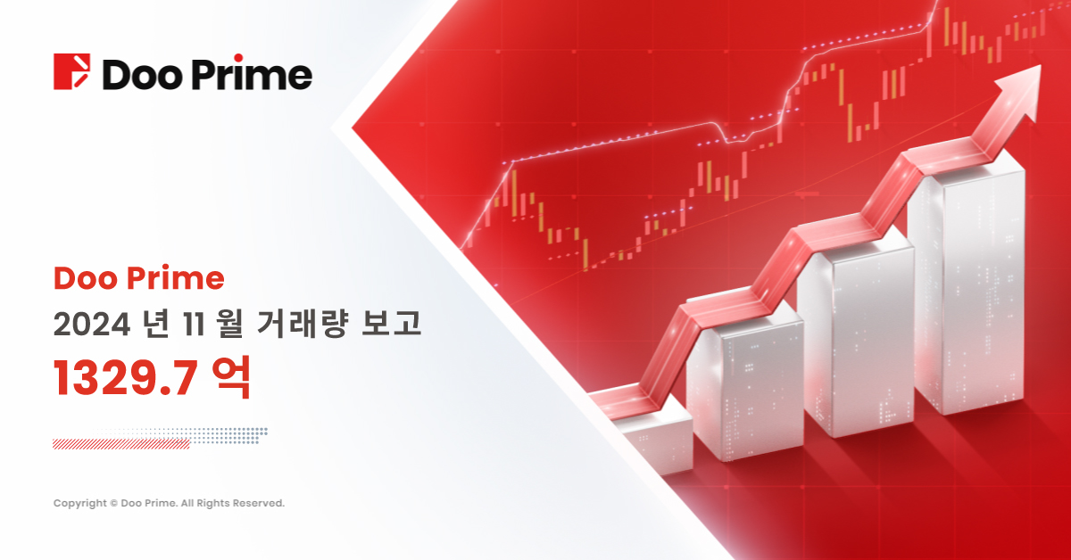 Doo Prime 2024년 11월 거래량 보고서